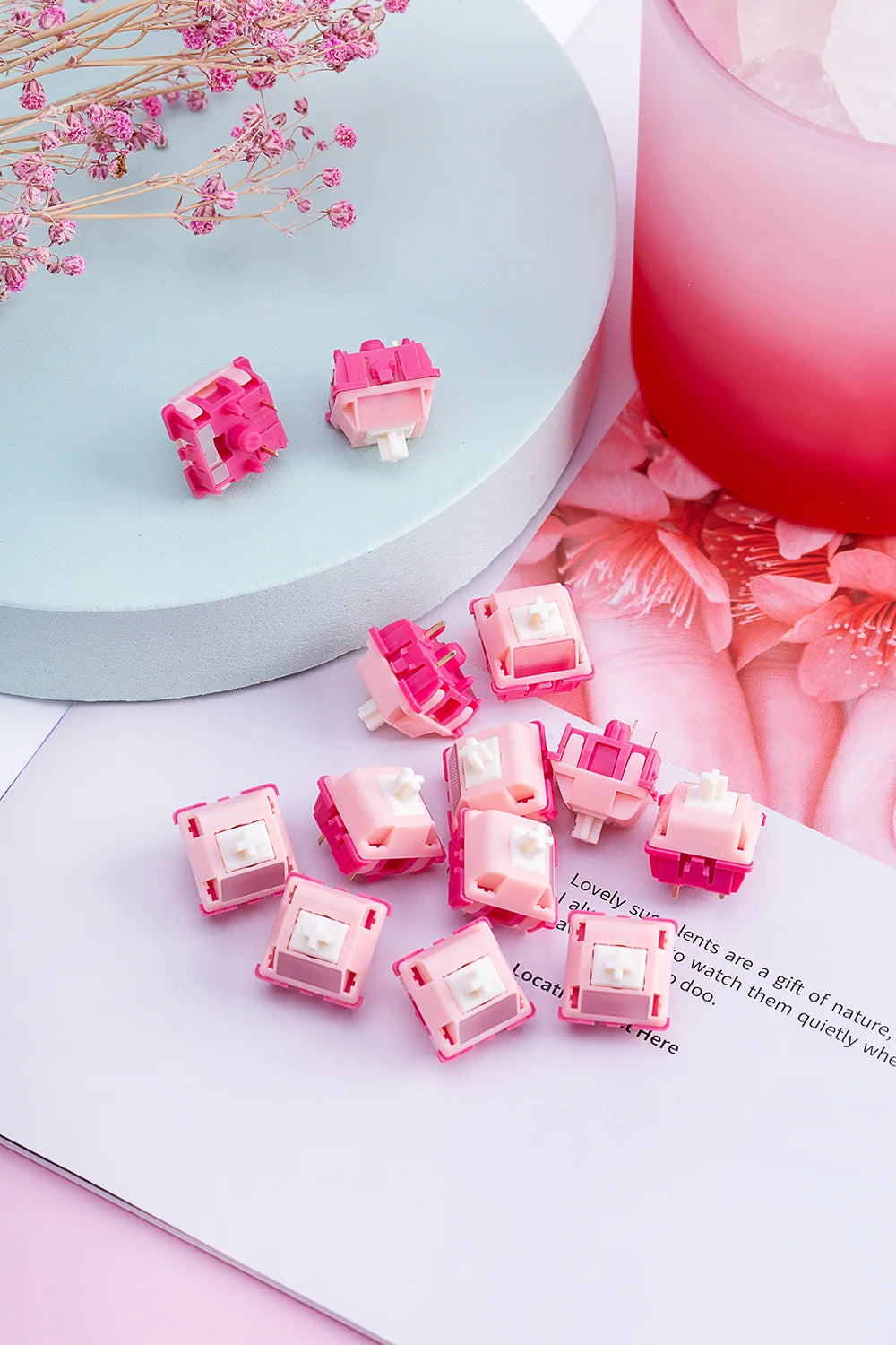 Equalz Candy Switches