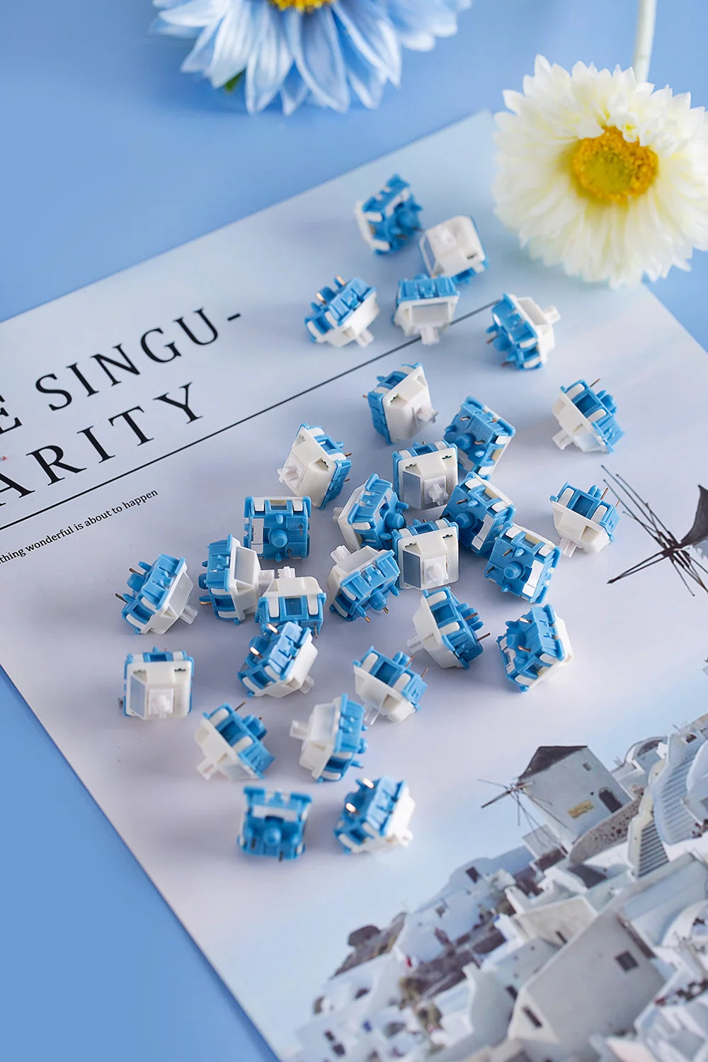 Equalz Candy Switches